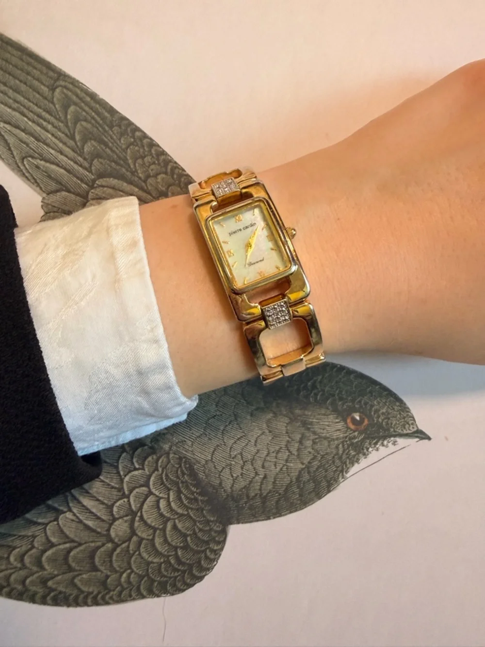 Pierre Cardin elegant pierre